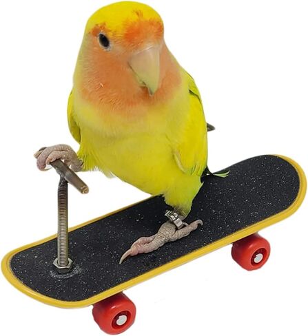 Skateboard Bird Toys, Parrot Training Trick Prop Toys, Bird Intelligence Educational Toys, Bird Grind Foot Toy for Parrot Parakeet Conures Cockatiels (B) in Kuwait