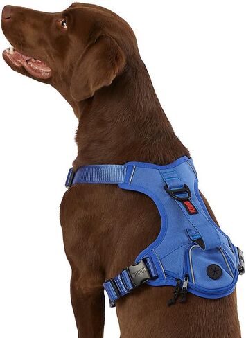 KONG Ultra Durable Waste Bag Harness (Small, Blue) in Saudi Arabia