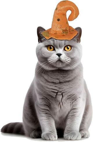 Halloween Costumes for Cats Puppies, Cats Puppies Witch Hats for Halloween Party Decoration PC301-2 in Saudi Arabia