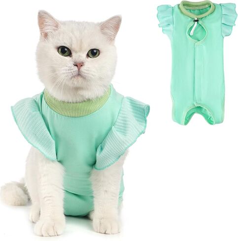 Avont Cat Recovery Suit - Post-Surgery Onesie for Cats, Alternative to Cone of Shame, Protective Spay Suit for Female Kitten, Ideal for Healing and Skin Conditions -Orange(M) in Saudi Arabia