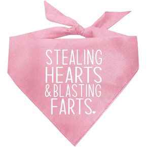 Stealing Heart & Blasting Farts Valentine's Day Dog Bandana (Baby Pink, XS 983)