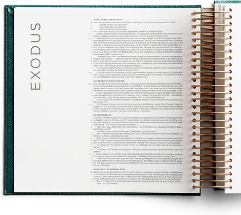 Illustrating Bible CSB Green (Spiral Bound) in Saudi Arabia