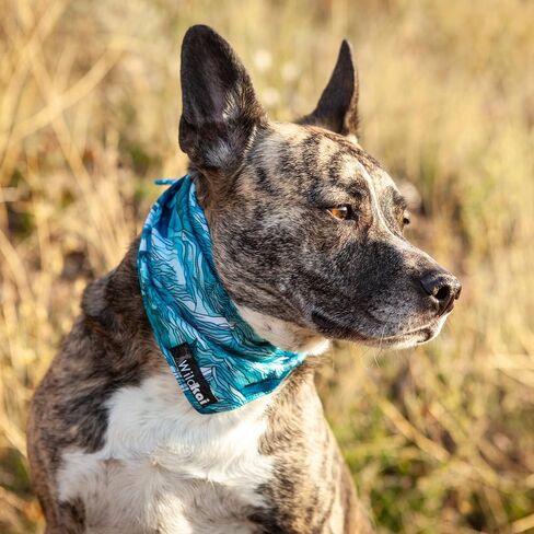 Dog Bandana with Lightweight Cooling Adventure Poly Mesh Quick Drying Fabric for Adventures and Hiking (XSmall-Small, Trippy Bird) in Saudi Arabia