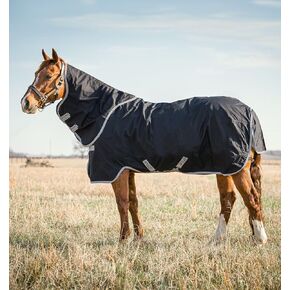 بطانية Horseware® Amigo® Stock Horse Plus Turnout Horse (0 جرام فاتح)