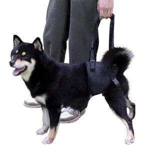 Dog Lift Harness for Dogs with Disabled Arthritis and Weak Back Legs, humanized Design with Comfortable Materials, Adjustable Back Legs and Straps, Suitable for Helping Dogs to Recover and Walk. (XL)