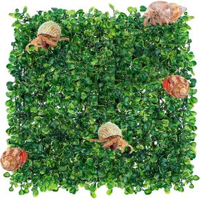 Hermit Crab Climbing Toys 10 x 10 Inch Hermit Crab Climbing Wall Hermit Crab Fake Guppy Grass Faux Grass Mat Fake Turf Square Plastic Aquarium Plants Lawn for Hermit Crab Tank Decor