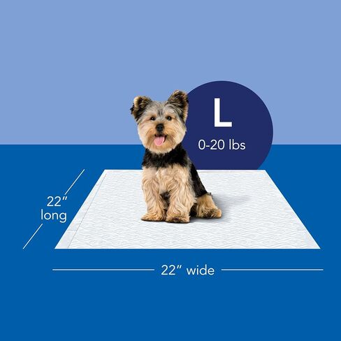 Scott Pet Guard Dog Pads - Dog Training Pee Pads for Puppies, Medium & Large Dogs - Up to 12 Hour Absorbent Odor Control - Easily Disposable Dog Pee Pads - Size XL - 30" x 36" - 40 Pack in Kuwait