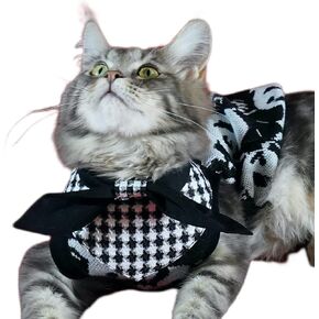 Cat Bib - Classic Black and White Gingham Print: Timeless, Stylish Accessory for Cats (Medium)