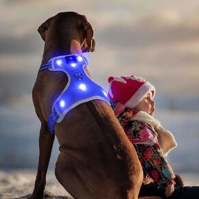 BSEEN Light Up Dog Harness - No-Pull LED Dog Harness, Glow in The Dark Dog Walking Harness, Rechargeable Dog Vest Harness Dog Lights for Night Walking (Green, Medium)