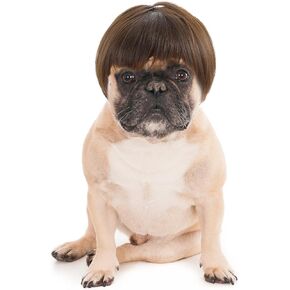 Dog Wigs for Small Dogs, Funny Dog Cat Cosplay Wigs for Dogs, Adjustable Cat Wigs, Dog Halloween Costume Trimmable Funny Dog Wig Pet Wigs for Halloween, Parties, Christmas, Festivals (Brown)