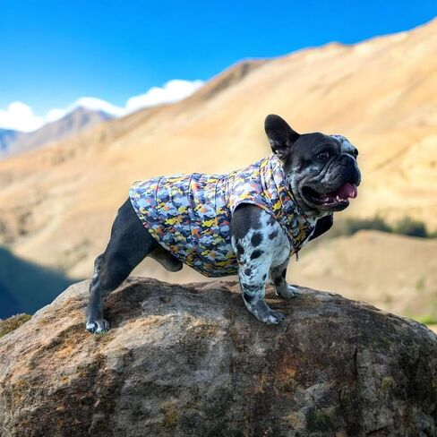 Pets, Waterproof Winter Dog Jacket, Reversible, Cold Weather Coats, Exclusive Full Color Desing Jacket, Snow Jacket, Vest for Small Medium Large Dogs (Gray/Green, Medium) in Saudi Arabia