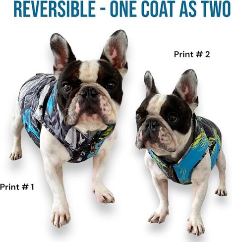 Pets, Waterproof Winter Dog Jacket, Reversible, Cold Weather Coats, Exclusive Full Color Desing Jacket, Snow Jacket, Vest for Small Medium Large Dogs (Gray/Green, Medium) in Saudi Arabia
