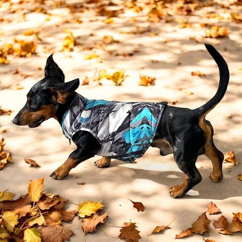 Pets, Waterproof Winter Dog Jacket, Reversible, Cold Weather Coats, Exclusive Full Color Desing Jacket, Snow Jacket, Vest for Small Medium Large Dogs (Gray/Green, Medium) in Saudi Arabia