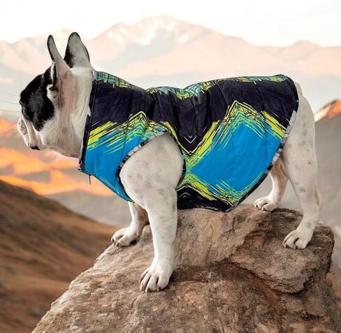 Pets, Waterproof Winter Dog Jacket, Reversible, Cold Weather Coats, Exclusive Full Color Desing Jacket, Snow Jacket, Vest for Small Medium Large Dogs (Gray/Green, Medium) in Saudi Arabia