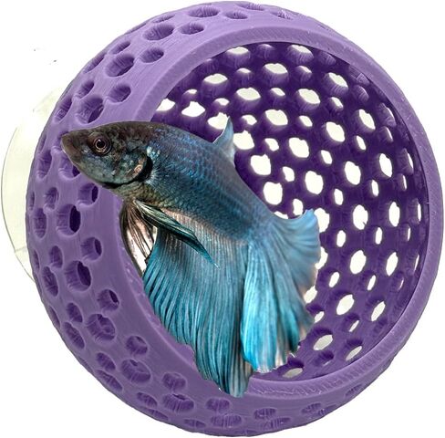 Betta Bulb Hide 2.0 | Betta Rest Fish Tank Ornament Large | Aquarium Cave with Suction Cup for Small Fish Tank, Betta Habitat, Shrimp Hideout, Aquatic Decor Large (Pure White) in Saudi Arabia