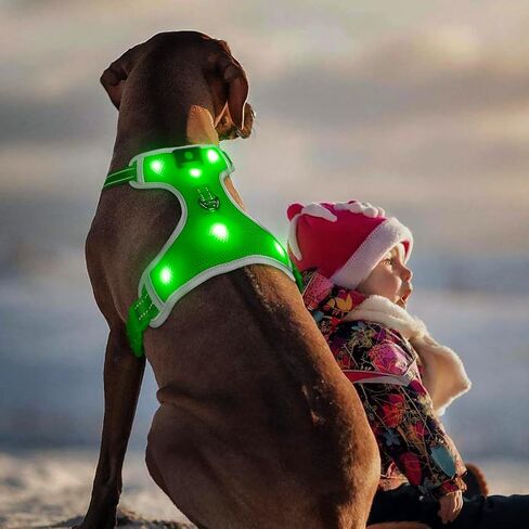 BSEEN Light Up Dog Harness - No-Pull LED Dog Harness, Glow in The Dark Dog Walking Harness, Rechargeable Dog Vest Harness Dog Lights for Night Walking (Green, Medium) in Saudi Arabia