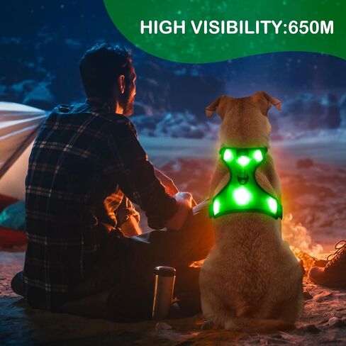 BSEEN Light Up Dog Harness - No-Pull LED Dog Harness, Glow in The Dark Dog Walking Harness, Rechargeable Dog Vest Harness Dog Lights for Night Walking (Green, Medium) in Saudi Arabia