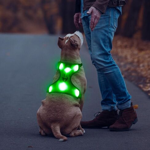 BSEEN Light Up Dog Harness - No-Pull LED Dog Harness, Glow in The Dark Dog Walking Harness, Rechargeable Dog Vest Harness Dog Lights for Night Walking (Green, Medium) in Saudi Arabia