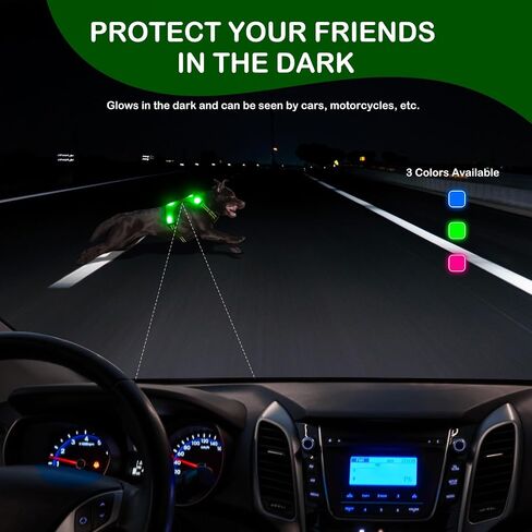 BSEEN Light Up Dog Harness - No-Pull LED Dog Harness, Glow in The Dark Dog Walking Harness, Rechargeable Dog Vest Harness Dog Lights for Night Walking (Green, Medium) in Saudi Arabia