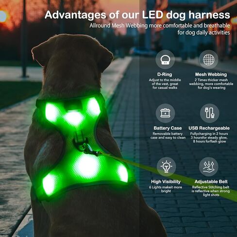 BSEEN Light Up Dog Harness - No-Pull LED Dog Harness, Glow in The Dark Dog Walking Harness, Rechargeable Dog Vest Harness Dog Lights for Night Walking (Green, Medium) in Saudi Arabia