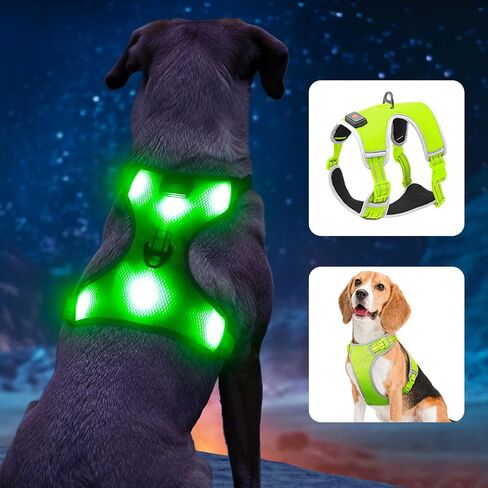BSEEN Light Up Dog Harness - No-Pull LED Dog Harness, Glow in The Dark Dog Walking Harness, Rechargeable Dog Vest Harness Dog Lights for Night Walking (Green, Medium) in Saudi Arabia