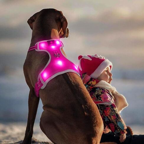 BSEEN Light Up Dog Harness - عدم سحب LED Dog Harness، يتوهج في الظلام الكلب المشي تسخير، قابلة للشحن الكلب سترة تسخير أضواء الكلب للمشي ليلا (الأخضر، متوسط) in Kuwait