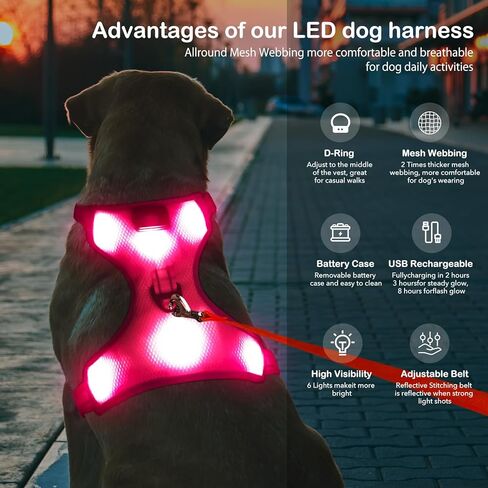 BSEEN Light Up Dog Harness - عدم سحب LED Dog Harness، يتوهج في الظلام الكلب المشي تسخير، قابلة للشحن الكلب سترة تسخير أضواء الكلب للمشي ليلا (الأخضر، متوسط) in Kuwait