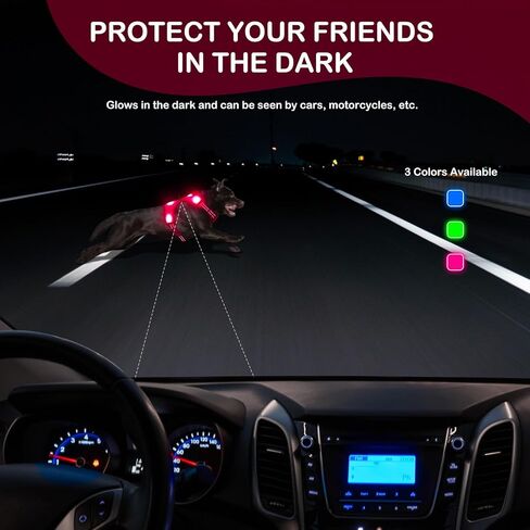 BSEEN Light Up Dog Harness - عدم سحب LED Dog Harness، يتوهج في الظلام الكلب المشي تسخير، قابلة للشحن الكلب سترة تسخير أضواء الكلب للمشي ليلا (الأخضر، متوسط) in Kuwait