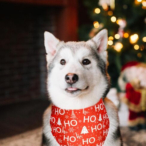 2 Pack Christmas Dog Bandana, Holiday Cat Bandana Flower and Christmas Tree for Small Medium Large Dogs Puppies Pets in Saudi Arabia