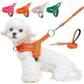 BEAUTYZOO Dog Harness for Small Dogs, No Pull Dog Harness and Leash Set, Soft Escape Proof Puppy Vest Harness with Handle, Reflective Lightweight Step in Harness for Girl Boy Dogs 6-12 lbs, Beige XS
