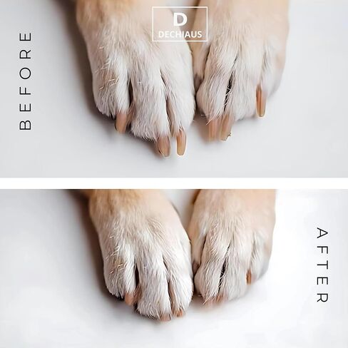 8-Pack 80-Grit Adhesive Replacement Sandpapers Sheets for Dog Nail Scratch Board, DIY, Sandpaper Sheets. in Saudi Arabia