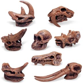 2inch Aquarium Decoration Realistic Animal Skulls Fish Tank Small Skull, Resin Skull Figurine Fish Shrimp Shelter Cave Hideout Turtle Hidden Tank Decoration,Mini Micro Landscaping Decor (8, Brown)