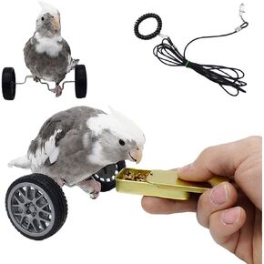 Bird Training Toy Kit, Bird Intelligence Training Toy Handmade Parrot Balance Car with Foraging Box, for Pet Birds Parrots Parakeets Conures Small Animal Toys