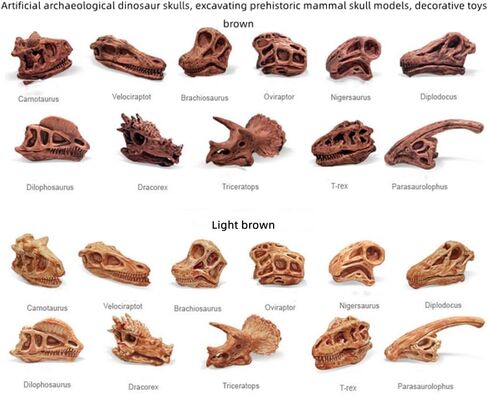 2inch Aquarium Decoration Realistic Animal Skulls Fish Tank Small Skull, Resin Skull Figurine Fish Shrimp Shelter Cave Hideout Turtle Hidden Tank Decoration,Mini Micro Landscaping Decor (8, Brown) in Kuwait