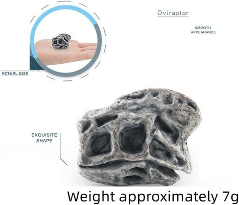 2inch Aquarium Decoration Realistic Animal Skulls Fish Tank Small Skull, Resin Skull Figurine Fish Shrimp Shelter Cave Hideout Turtle Hidden Tank Decoration,Mini Micro Landscaping Decor (8, Brown) in Kuwait