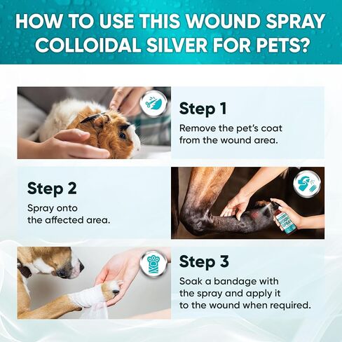 Pet Wound Drops | Dog Wound Drops | Cat Wound Drops | Colloidal Silver for Pets | Chlorhexidine for Cats | Pet Wound Care for Dogs, Cats, Rabbits | Dog Wound Wash | Cat Wound Care | 2 Oz in Saudi Arabia