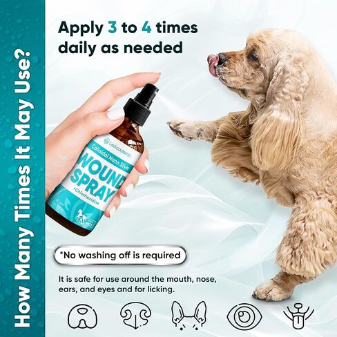 Pet Wound Drops | Dog Wound Drops | Cat Wound Drops | Colloidal Silver for Pets | Chlorhexidine for Cats | Pet Wound Care for Dogs, Cats, Rabbits | Dog Wound Wash | Cat Wound Care | 2 Oz in Saudi Arabia