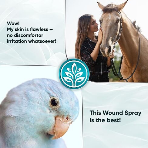 Pet Wound Drops | Dog Wound Drops | Cat Wound Drops | Colloidal Silver for Pets | Chlorhexidine for Cats | Pet Wound Care for Dogs, Cats, Rabbits | Dog Wound Wash | Cat Wound Care | 2 Oz in Saudi Arabia