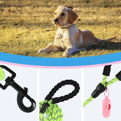 CBBPET Highly Reflective Threads Dog Leash for Large Medium Small Dogs,Heavy Duty Dog Leash,Durable Puppy Training Leashes in Kuwait