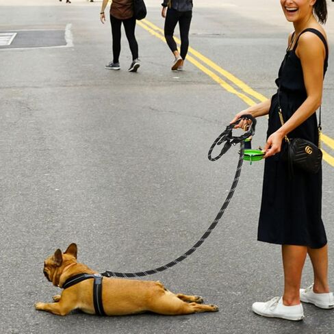 CBBPET Highly Reflective Threads Dog Leash for Large Medium Small Dogs,Heavy Duty Dog Leash,Durable Puppy Training Leashes in Kuwait