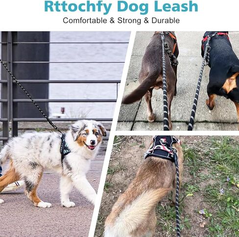CBBPET Highly Reflective Threads Dog Leash for Large Medium Small Dogs,Heavy Duty Dog Leash,Durable Puppy Training Leashes in Kuwait