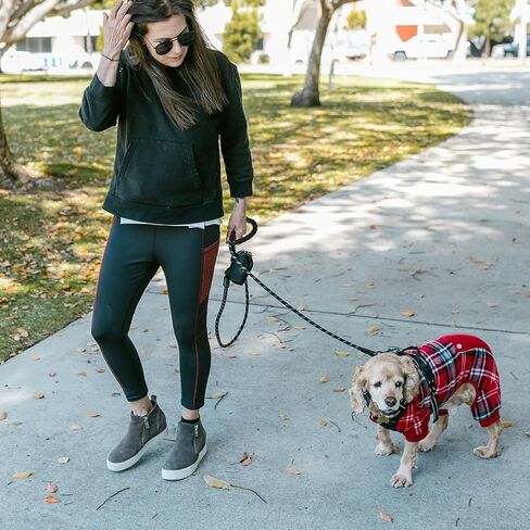 CBBPET Highly Reflective Threads Dog Leash for Large Medium Small Dogs,Heavy Duty Dog Leash,Durable Puppy Training Leashes in Kuwait
