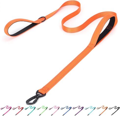 Serijoars Reflective Nylon Dog Leash - Heavy Duty Padded Two Handle Reflective Leash for Night Safety Training for Small Medium Large Breed Pet Dogs (Teal, 6FT×1'') in Saudi Arabia