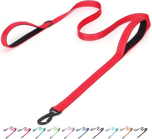 Serijoars Reflective Nylon Dog Leash - Heavy Duty Padded Two Handle Reflective Leash for Night Safety Training for Small Medium Large Breed Pet Dogs (Teal, 6FT×1'') in Saudi Arabia