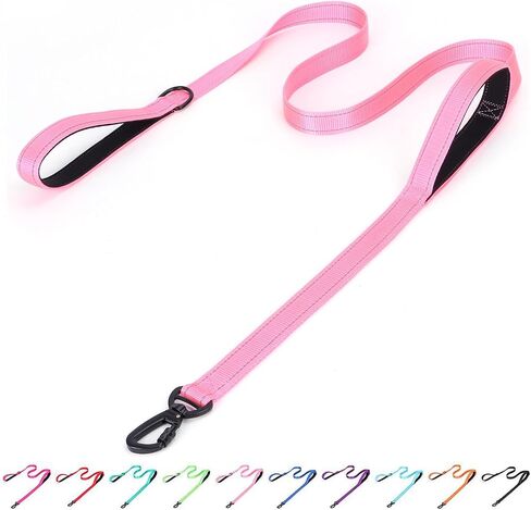 Serijoars Reflective Nylon Dog Leash - Heavy Duty Padded Two Handle Reflective Leash for Night Safety Training for Small Medium Large Breed Pet Dogs (Teal, 6FT×1'') in Saudi Arabia