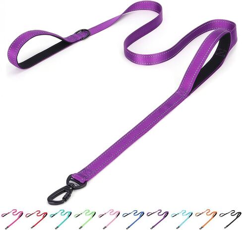 Serijoars Reflective Nylon Dog Leash - Heavy Duty Padded Two Handle Reflective Leash for Night Safety Training for Small Medium Large Breed Pet Dogs (Teal, 6FT×1'') in Saudi Arabia