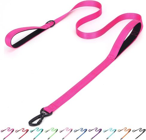 Serijoars Reflective Nylon Dog Leash - Heavy Duty Padded Two Handle Reflective Leash for Night Safety Training for Small Medium Large Breed Pet Dogs (Teal, 6FT×1'') in Saudi Arabia
