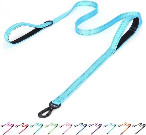 Serijoars Reflective Nylon Dog Leash - Heavy Duty Padded Two Handle Reflective Leash for Night Safety Training for Small Medium Large Breed Pet Dogs (Teal, 6FT×1'') in Saudi Arabia