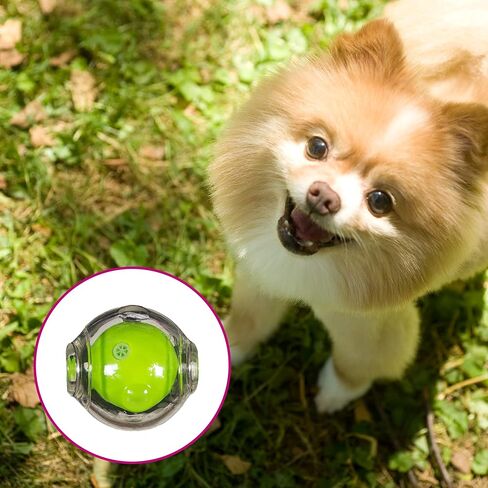 Chase 'n Chomp Amazing Squeaker Ball Toy for Pets, Clear, 2.5 Inch in Saudi Arabia