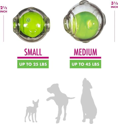 Chase 'n Chomp Amazing Squeaker Ball Toy for Pets, Clear, 2.5 Inch in Saudi Arabia